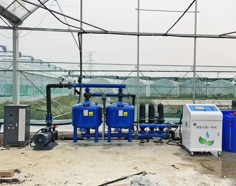 China Gansu Tomatenanbauprojekt